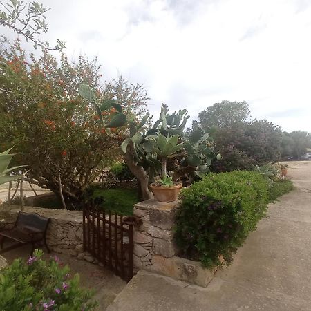 Casa Rural Es Cap De Barbaria San Francisco Javier ภายนอก รูปภาพ