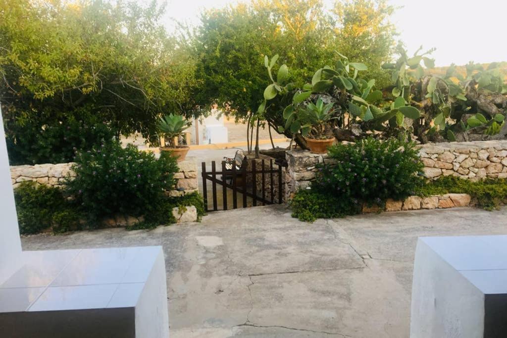 Casa Rural Es Cap De Barbaria San Francisco Javier ภายนอก รูปภาพ