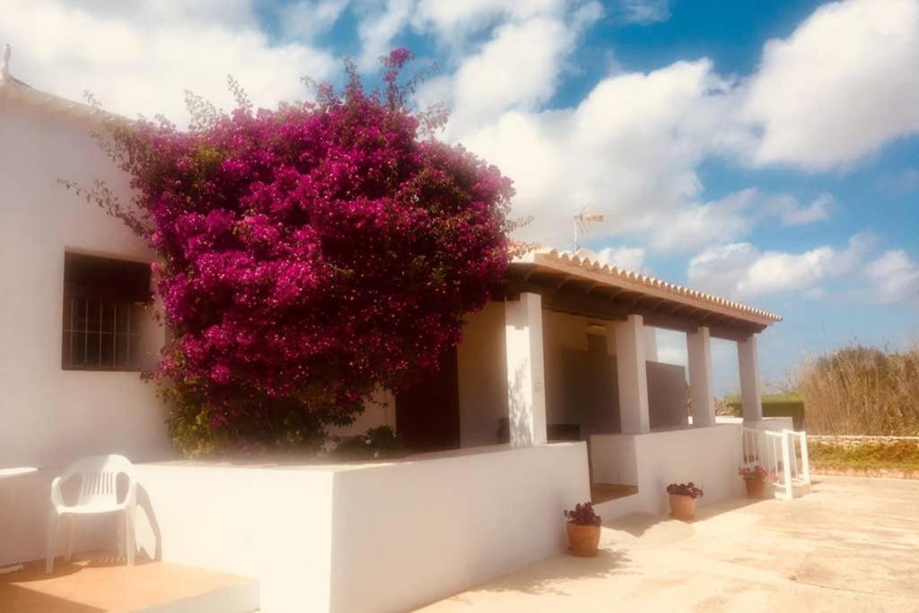 Casa Rural Es Cap De Barbaria San Francisco Javier ภายนอก รูปภาพ