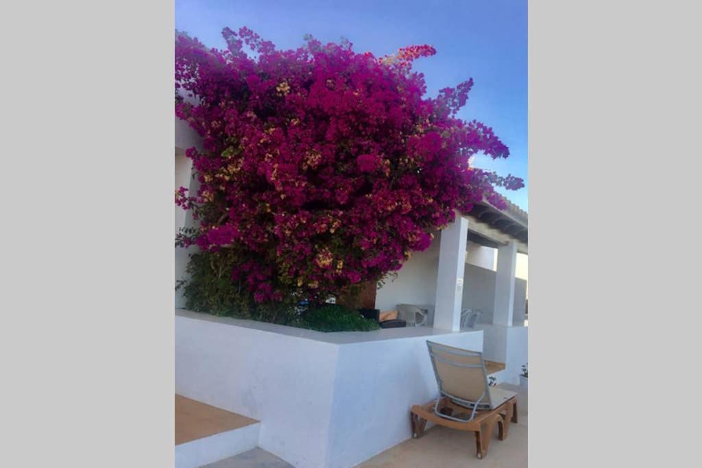 Casa Rural Es Cap De Barbaria San Francisco Javier ภายนอก รูปภาพ