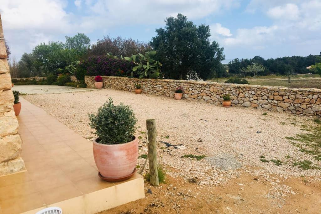 Casa Rural Es Cap De Barbaria San Francisco Javier ภายนอก รูปภาพ