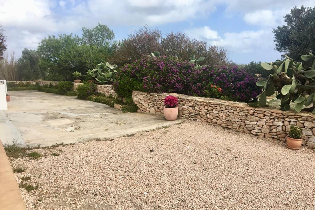 Casa Rural Es Cap De Barbaria San Francisco Javier ภายนอก รูปภาพ