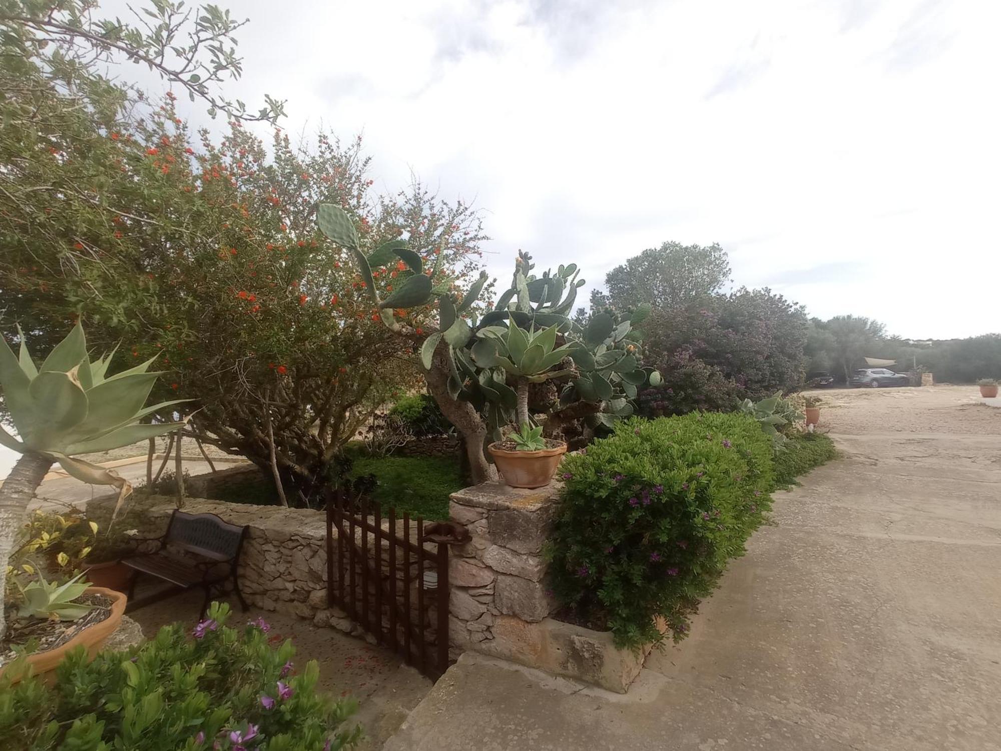 Casa Rural Es Cap De Barbaria San Francisco Javier ภายนอก รูปภาพ